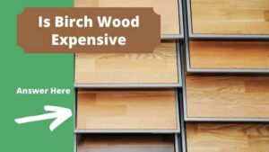 Is Birch Wood Expensive
