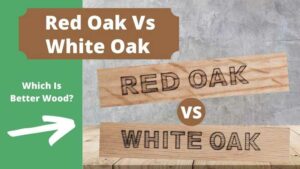 Red Oak Vs White Oak