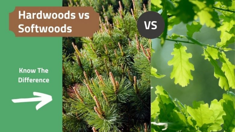 Hardwood vs softwood