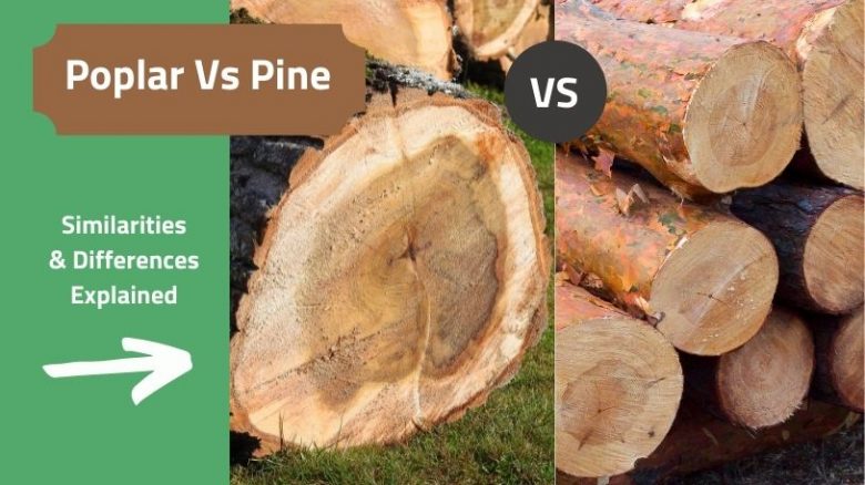Poplar Wood vs Pine