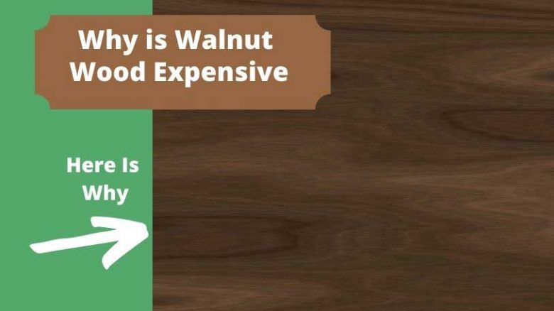 Why Walnut Wood Is So Expensive
